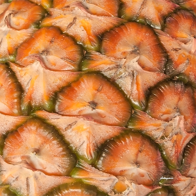 >菠萝 04bj00061 图片描述 拍摄于云南西双版纳,成熟菠萝局部